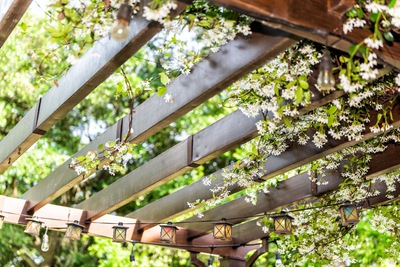 Stunning Pergola Ideas to Spruce Up Your Back Yard