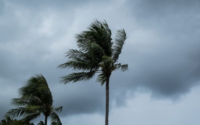 How to Save Time on Hurricane Prep