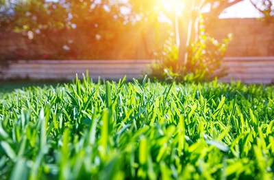 5 Ways to Prepare Your Yard for Hurricane Season