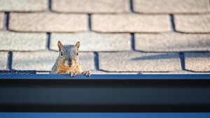 Is It Time to Replace Your Lake County Gutters?