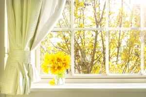What the Changing Seasons Mean for Your Windows